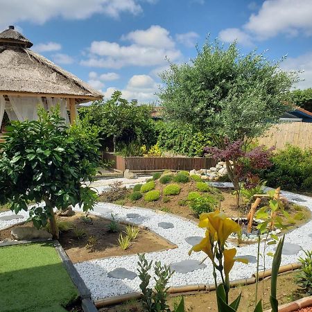 Chalet Zure Ondoan - Spa Et Piscine Chauffee 타노 외부 사진